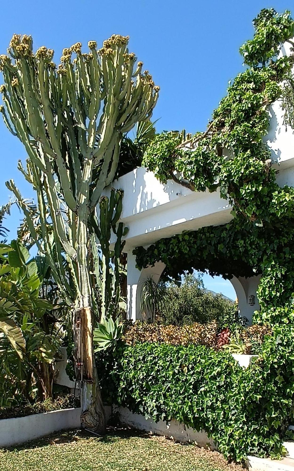 Villa Tortuga Marbellac Extérieur photo